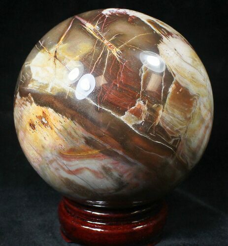 Colorful Petrified Wood Sphere #20600